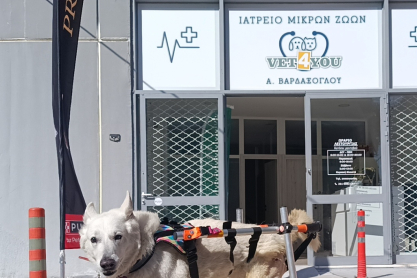 αναπηρικά αμαξίδια ζώα αθήνα