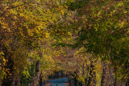5 ελατοσκέπαστα χωριά κοντά στην Αθήνα για χριστουγεννιάτικες αποδράσεις