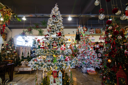 Ακόμα προλαβαίνεις να ζήσεις τη μαγεία των Χριστουγέννων