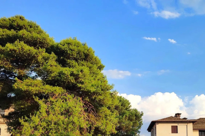 Τα τοπόσημα των Ιωαννίνων που θα σου "κλέψουν" την καρδιά 