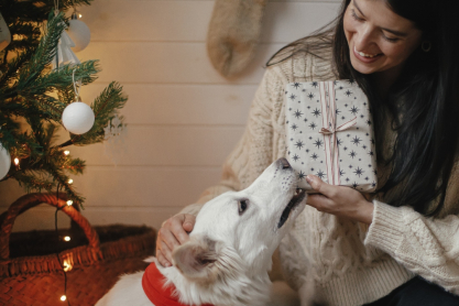 Αυτό είναι το χριστουγεννιάτικο τραγούδι που κάνει τον σκύλο σου να αγχώνεται, και ναι δεν πάει ο νους σου