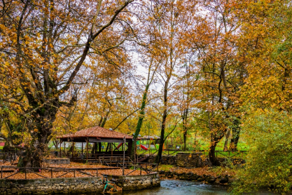 Ένα γευστικό ταξίδι στη Νάουσα
