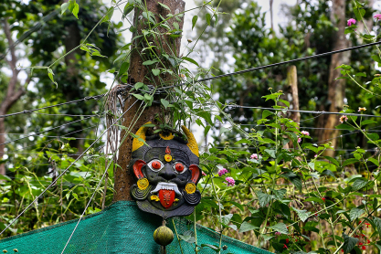 Ινδία: Έκαψαν μητέρα και βρέφος ζωντανούς - Κατηγόρησαν τη γυναίκα για "μαγεία"