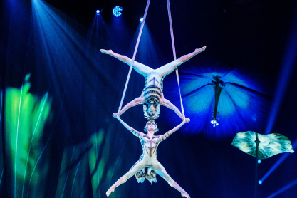 Το Cirque du Soleil αποκαλύπτει τα μυστικά του "OVO" – Όσα ειπώθηκαν στη συνέντευξη Τύπου