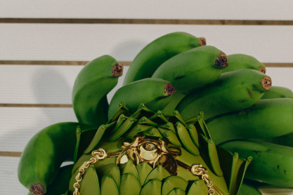 Θα κρατούσες μια τσάντα σε σχήμα αγκινάρας αξίας 5.000 ευρώ; Ο οίκος Loewe υμνεί το καλοκαίρι με ένα item που θα γίνει viral