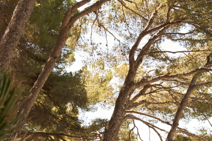 Mediterranean Journey: H Calzedonia γιορτάζει το καλοκαίρι στη Μαγιόρκα
