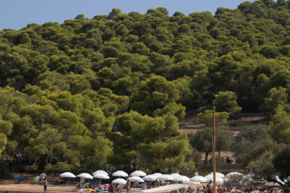 Οι καλύτερες παραλίες στις Σπέτσες