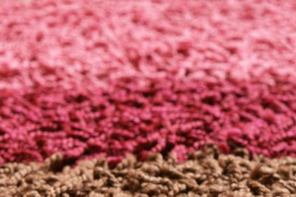 carpet.jpg