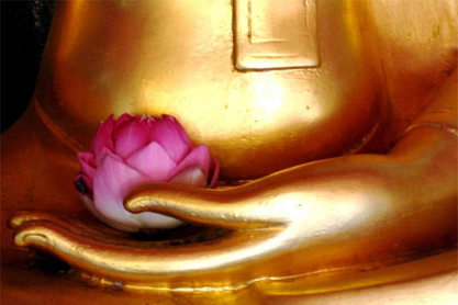 buddha-with-flower1.jpg