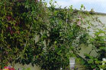 place2.jpg