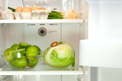 shutterstock_69273037-refrigerator.jpg