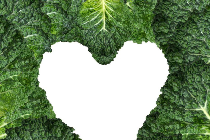 shutterstock_81342193-love-bites.jpg