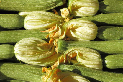 courgette.jpg