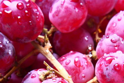 red-grapes1.jpg