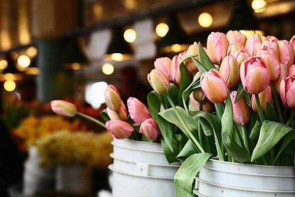 bouquet2.jpg