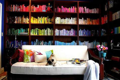 colorbookcase1.jpg