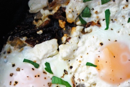 eggs570.jpg