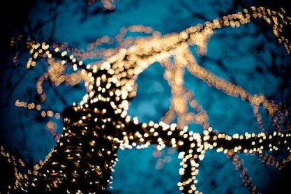 night-sky.jpg