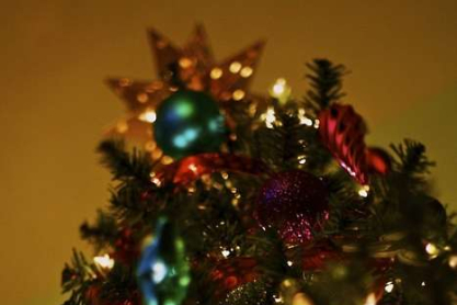 bokeh-christmas-christmas-lights-christmas-tree-o.jpg