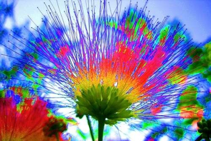 colors.jpg