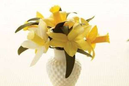4-2-crepe-flowers-1-300x300.jpg