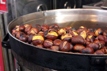 chestnut.jpg
