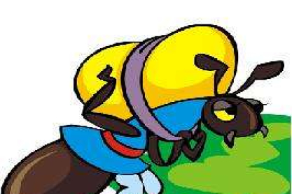 picture18.jpg