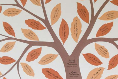 creating-a-family-tree1.jpg
