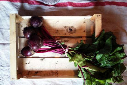 beetroot.jpg