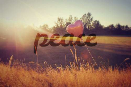peace1.jpg