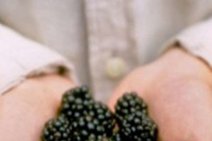 berries.jpg