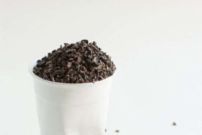 cacao-Copy.jpg