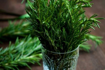 aromatic-herbs.jpg