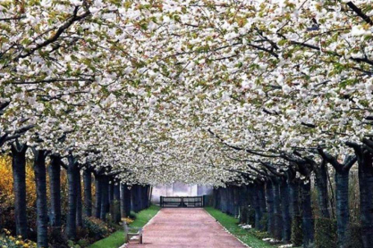 amazing-places-81.jpg