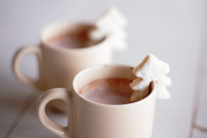 79ideas_winter_cookies_radostina_photography.png