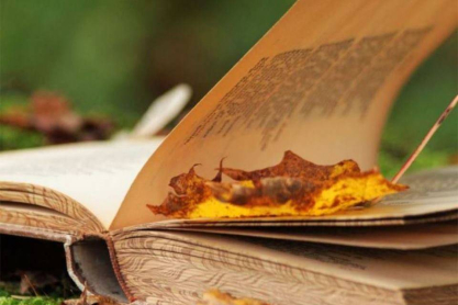 book_contest.jpg