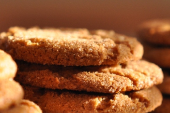cinnamon-sugar-cookies.jpg