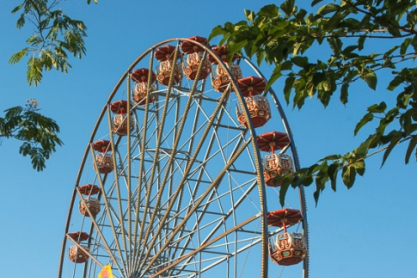 XIG_34092121132.jpg