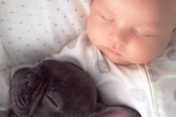 baby-dog-friendship-french-bulldog-ivette-ivens-3.jpg