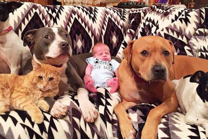 pets-family-friend-newborn-baby-sonny-2.jpg
