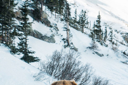 animals-about-to-drop-album-photos-29-58aee20e2da2d-700.jpg