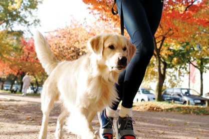 running-with-dog-1.jpg