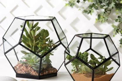 terrarium-3-copy.jpg
