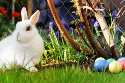 easter-2173193-1920.jpg