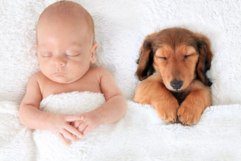 kids-dogs-sleeping-together-napping-buddies-58d904565f9be-700.jpg