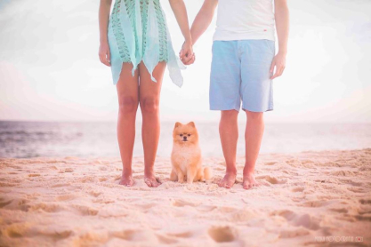 artistic-pet-photography-is-the-new-trend-heres-why-58d15f16392e5-880.jpg