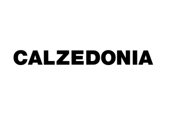 calzedonia-logo-text-wordmark54786.png