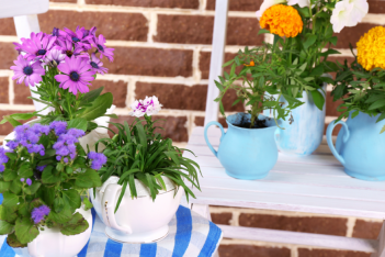 thehomeissue_balcony-1024x585.png