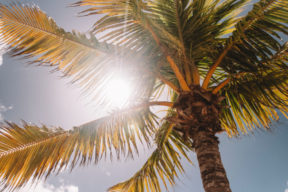 jared-rice-tf-qtxknisk-unsplash-2.jpg