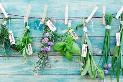 thehomeissue_herbs0-1024x585.jpg